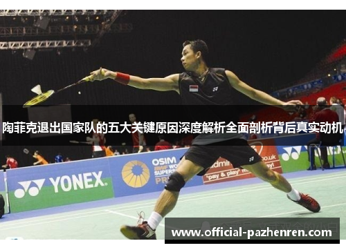 陶菲克退出国家队的五大关键原因深度解析全面剖析背后真实动机 陶菲克退出国家队的五大关键原因深度解析全面剖析背后真实动机