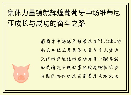 集体力量铸就辉煌葡萄牙中场维蒂尼亚成长与成功的奋斗之路